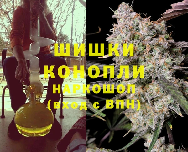 дмт Переславль-Залесский