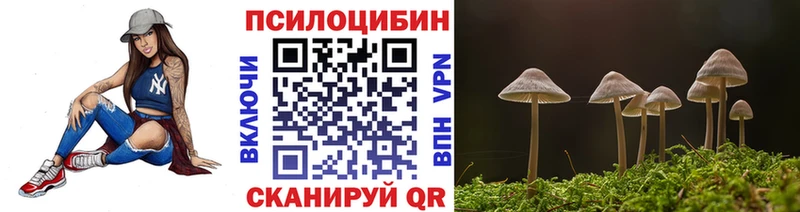 Псилоцибиновые грибы Psilocybine cubensis  мега tor  Мариинск 